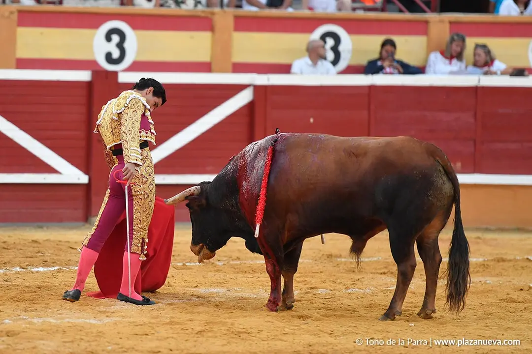 Corrida de toros en Tudela día 26 74