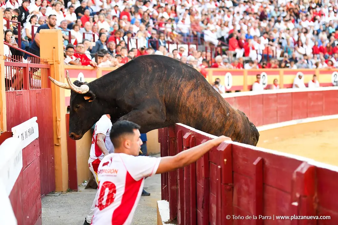 Exhibición de Bravura Arriazu en Tudela 2025 1