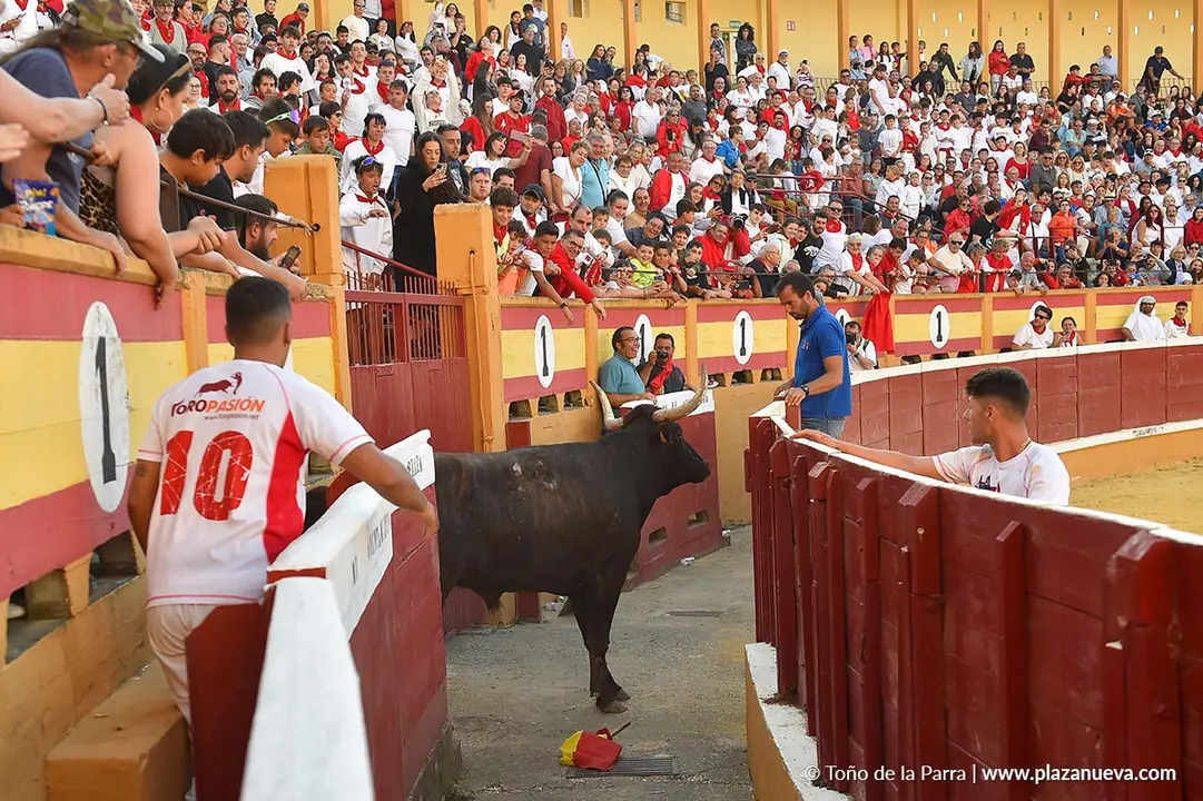 Exhibición de Bravura Arriazu en Tudela 2025 3
