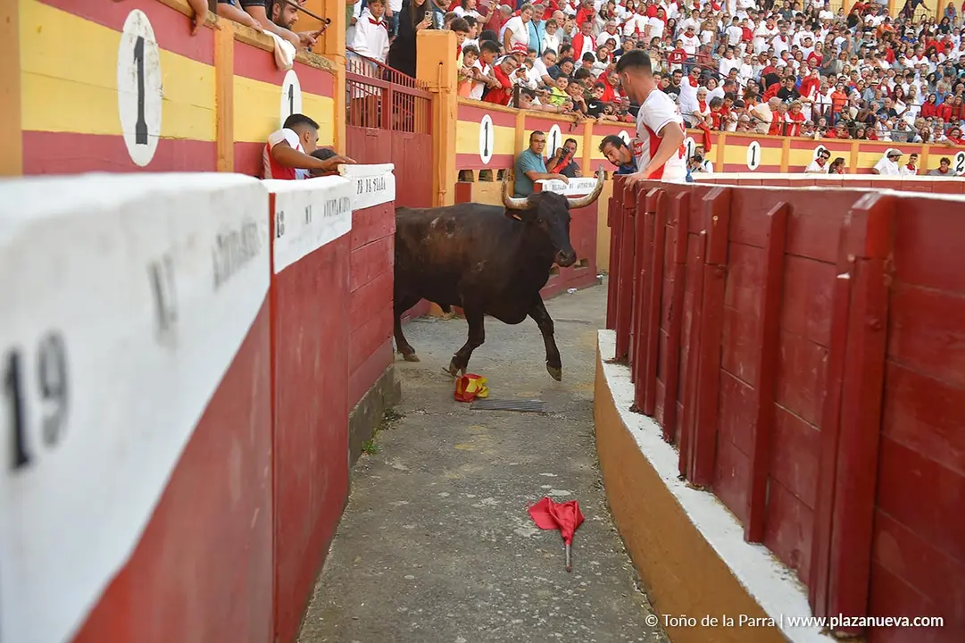Exhibición de Bravura Arriazu en Tudela 2025 4