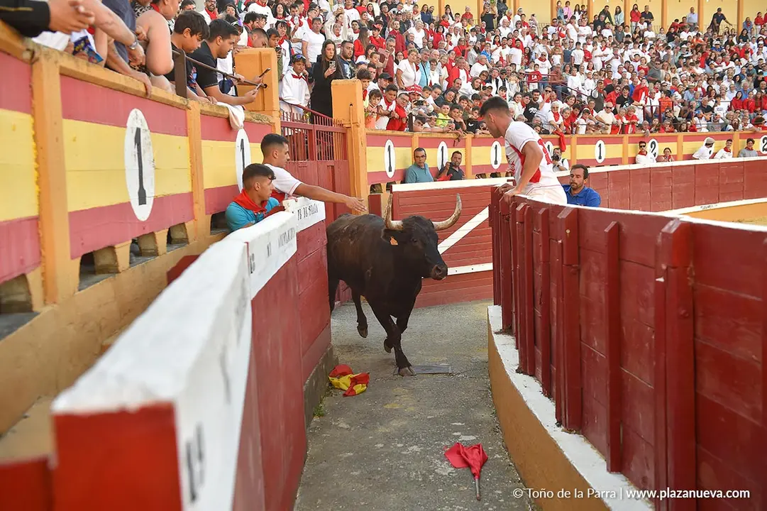 Exhibición de Bravura Arriazu en Tudela 2025 5