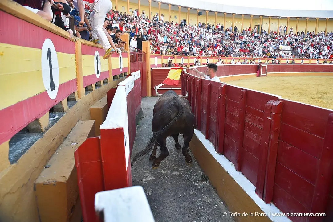 Exhibición de Bravura Arriazu en Tudela 2025 9