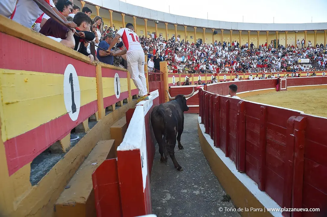 Exhibición de Bravura Arriazu en Tudela 2025 10