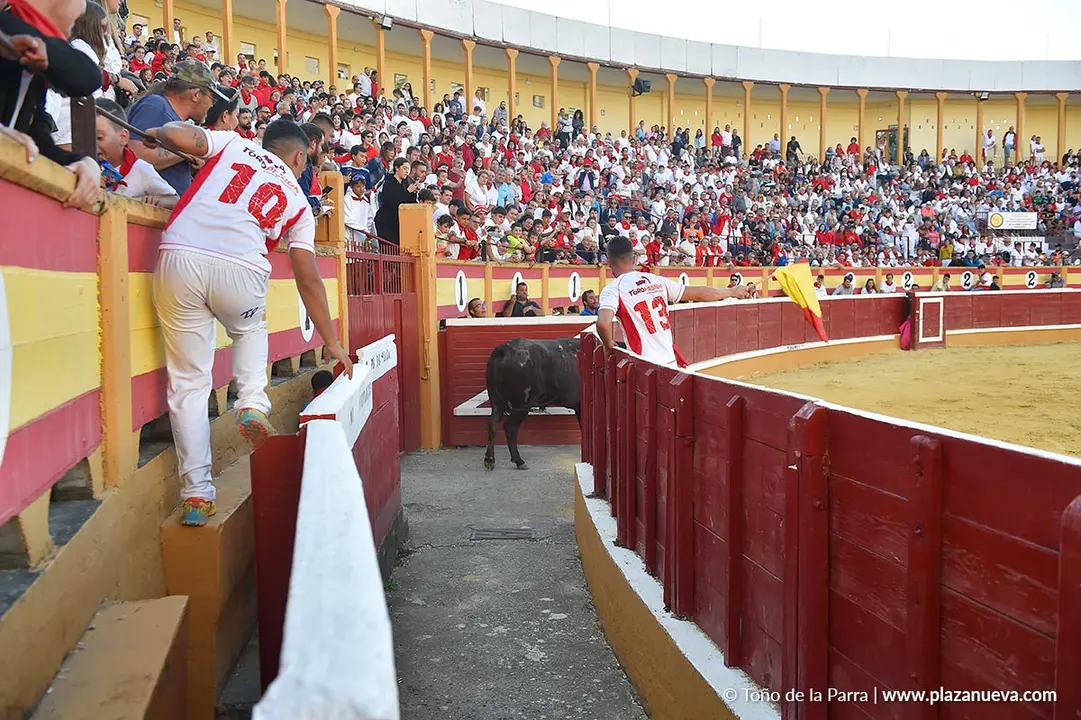 Exhibición de Bravura Arriazu en Tudela 2025 12