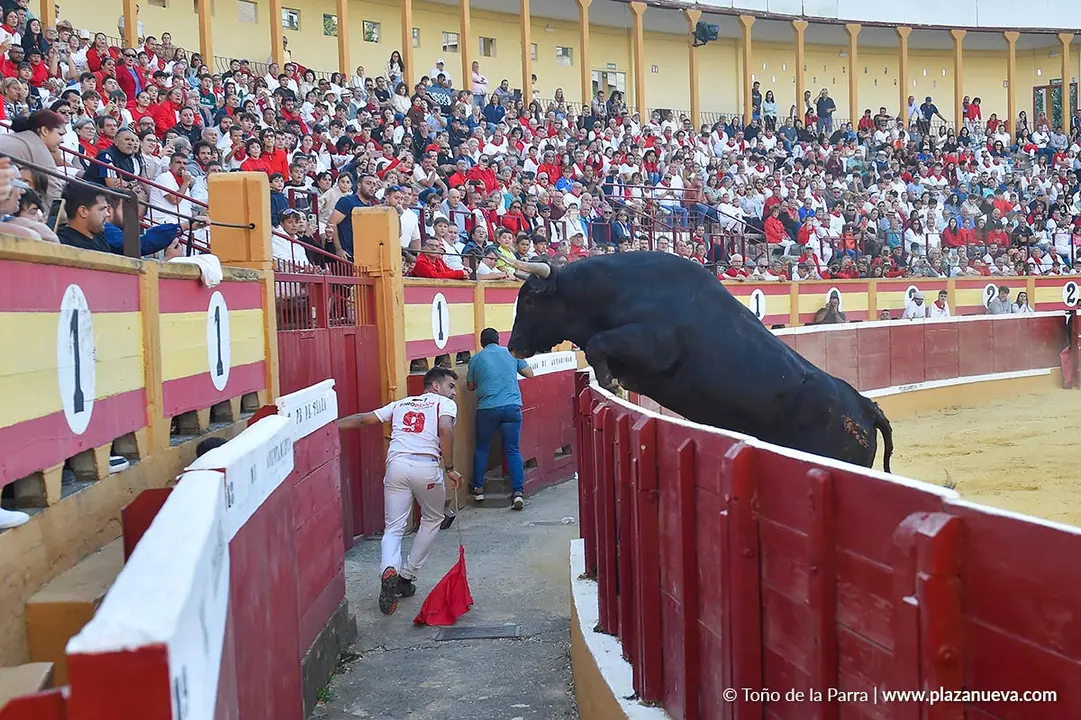Exhibición de Bravura Arriazu en Tudela 2025 13