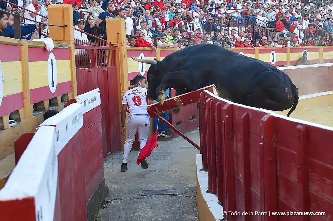 Exhibición de Bravura Arriazu en Tudela 2025 14