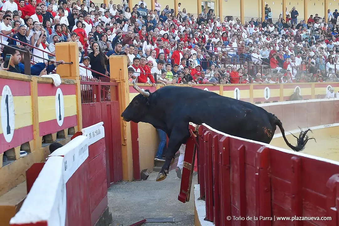 Exhibición de Bravura Arriazu en Tudela 2025 15