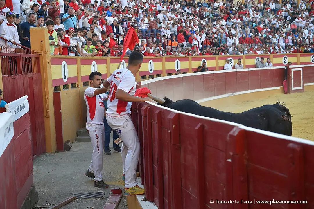 Exhibición de Bravura Arriazu en Tudela 2025 19