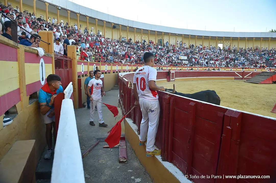 Exhibición de Bravura Arriazu en Tudela 2025 21