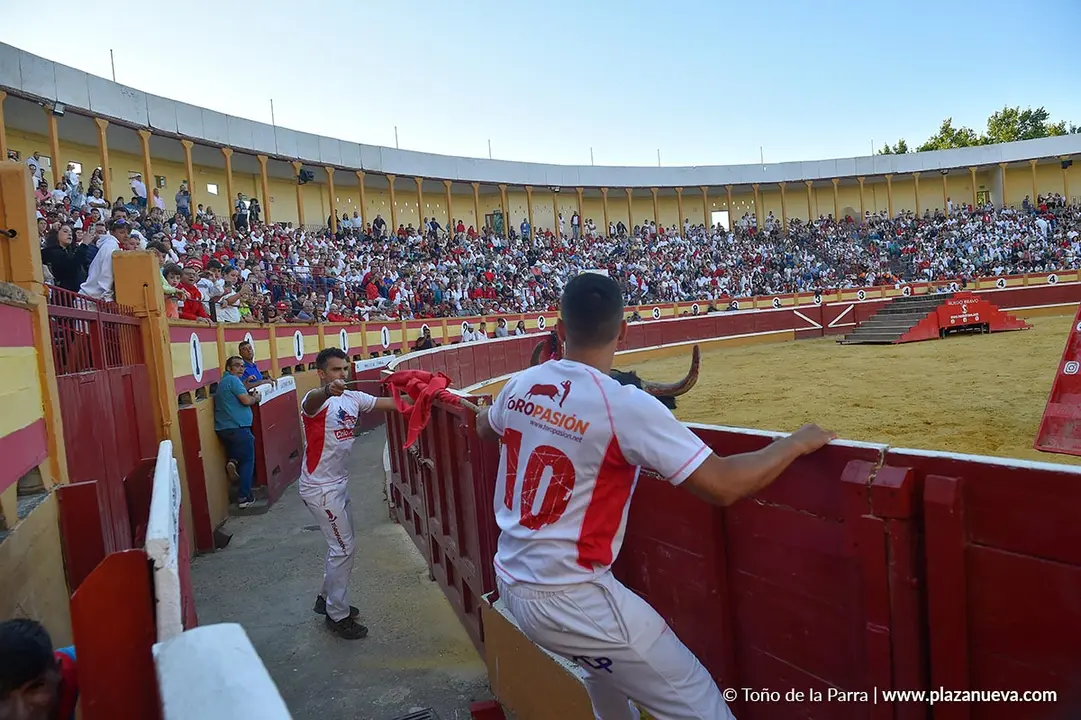 Exhibición de Bravura Arriazu en Tudela 2025 22