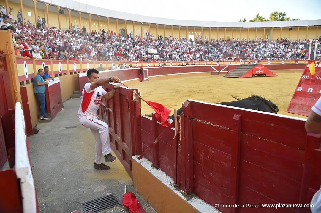 Exhibición de Bravura Arriazu en Tudela 2025 23