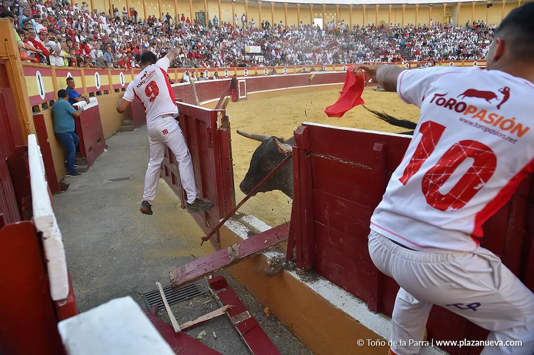 Exhibición de Bravura Arriazu en Tudela 2025 26