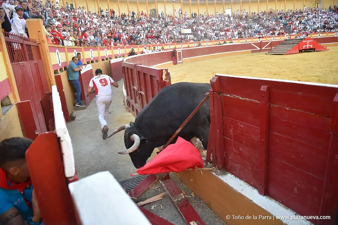 Exhibición de Bravura Arriazu en Tudela 2025 27