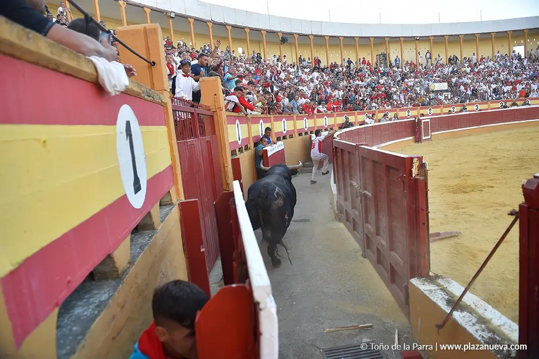 Exhibición de Bravura Arriazu en Tudela 2025 28