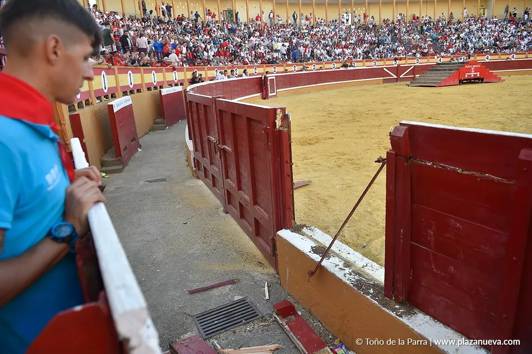 Exhibición de Bravura Arriazu en Tudela 2025 33