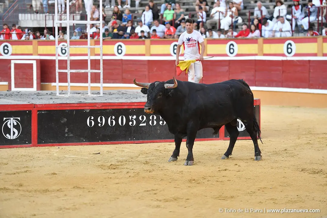 Exhibición de Bravura Arriazu en Tudela 2025 34