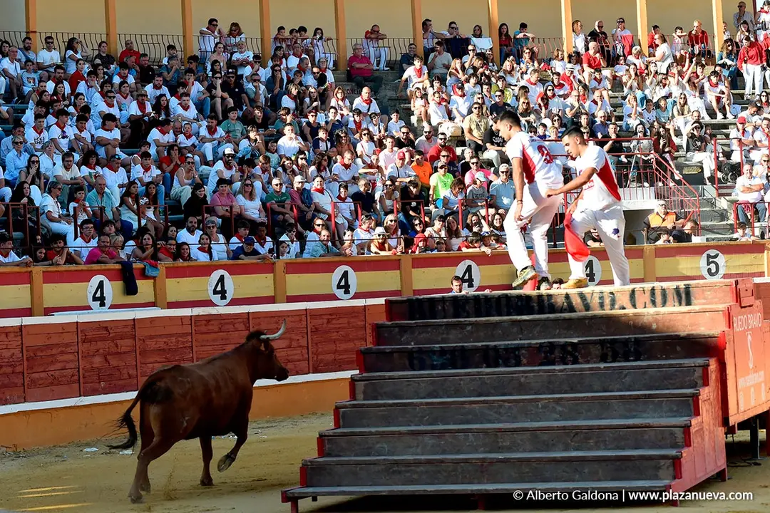 Exhibición de Bravura Arriazu en Tudela 2025 35