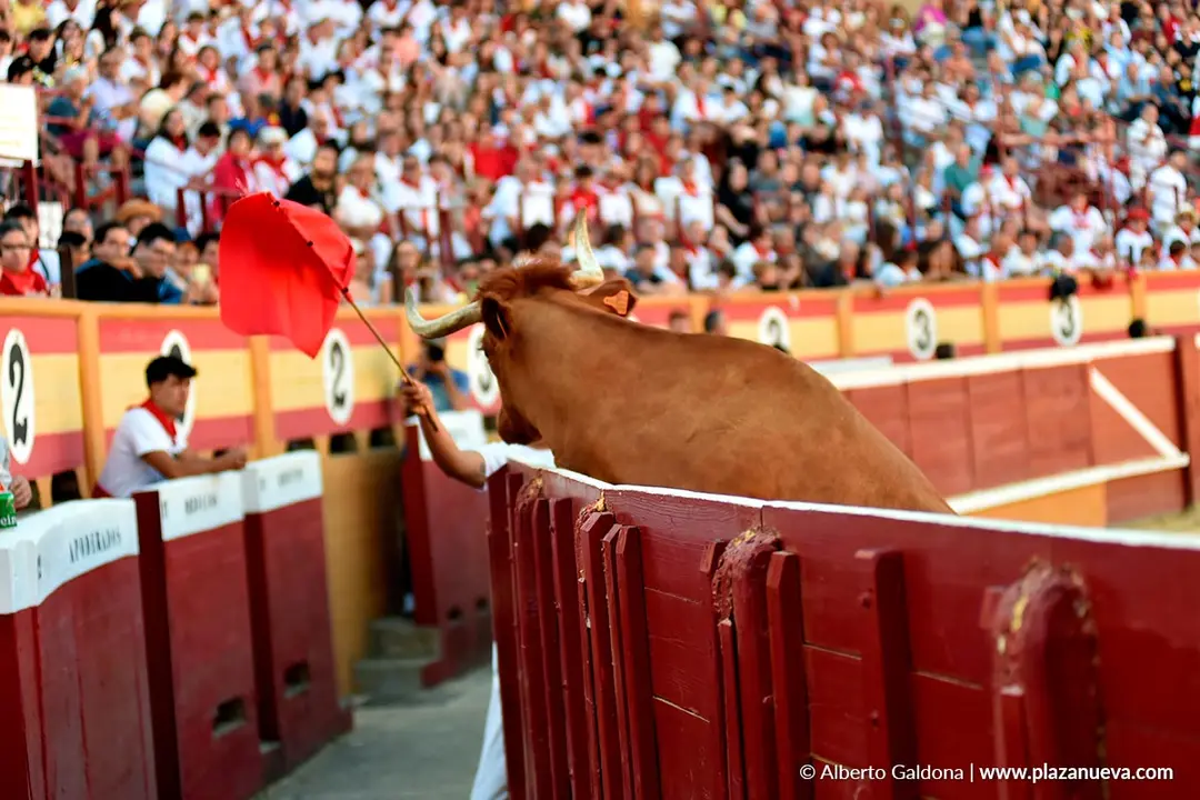 Exhibición de Bravura Arriazu en Tudela 2025 37