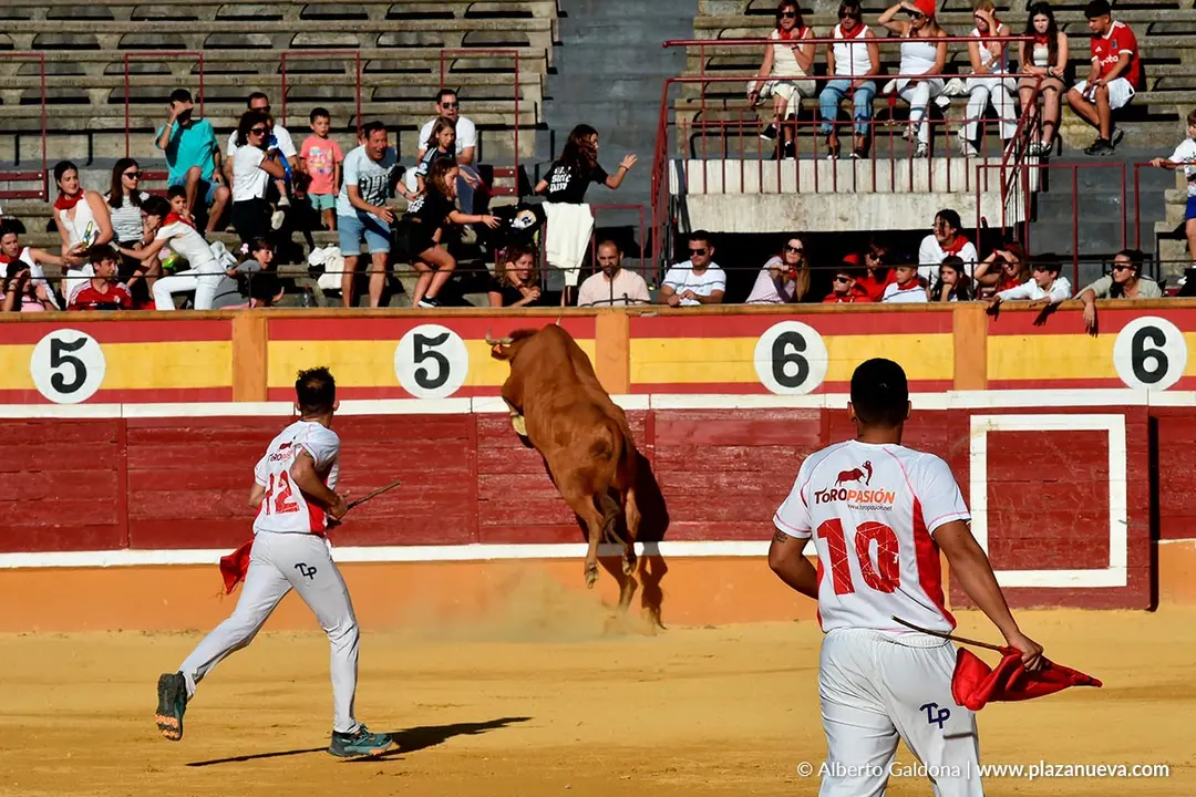 Exhibición de Bravura Arriazu en Tudela 2025 36
