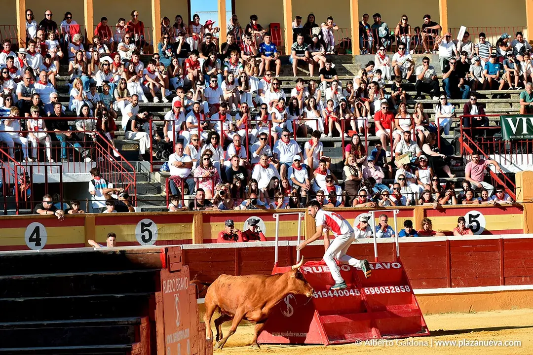 Exhibición de Bravura Arriazu en Tudela 2025 39