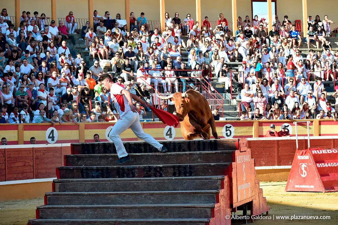 Exhibición de Bravura Arriazu en Tudela 2025 40