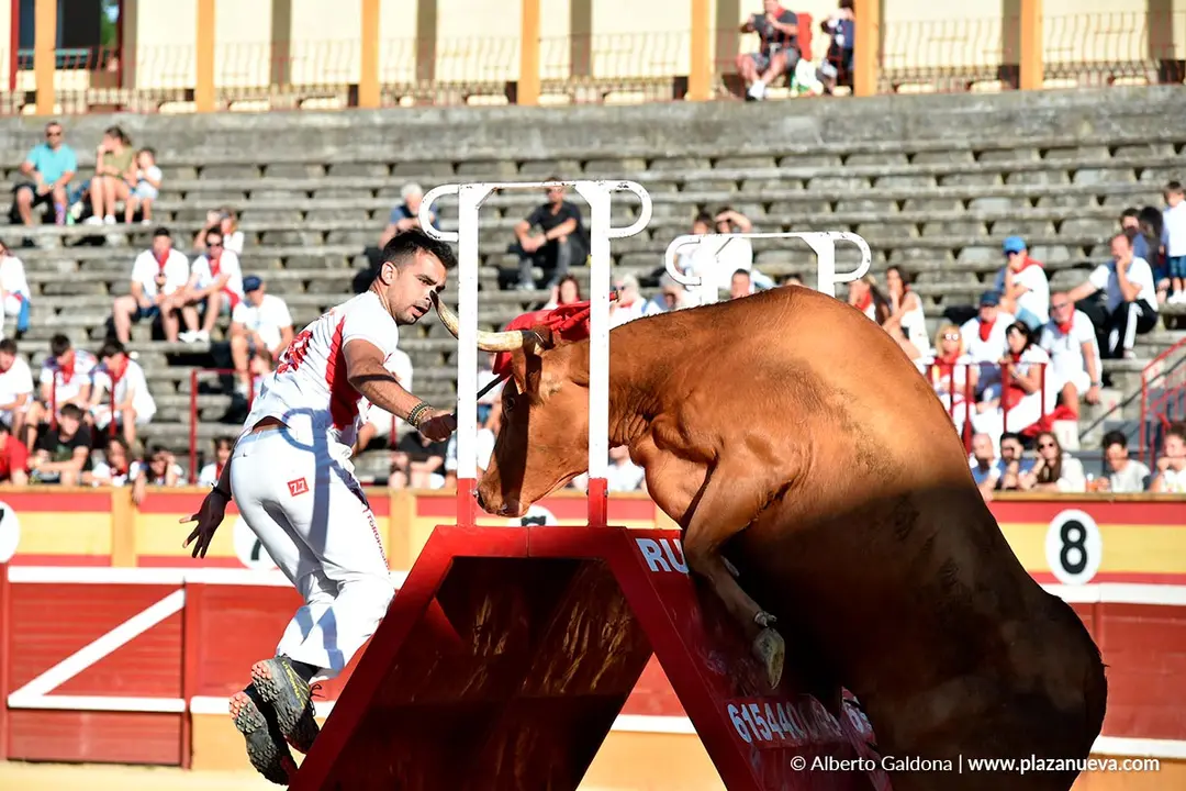 Exhibición de Bravura Arriazu en Tudela 2025 41