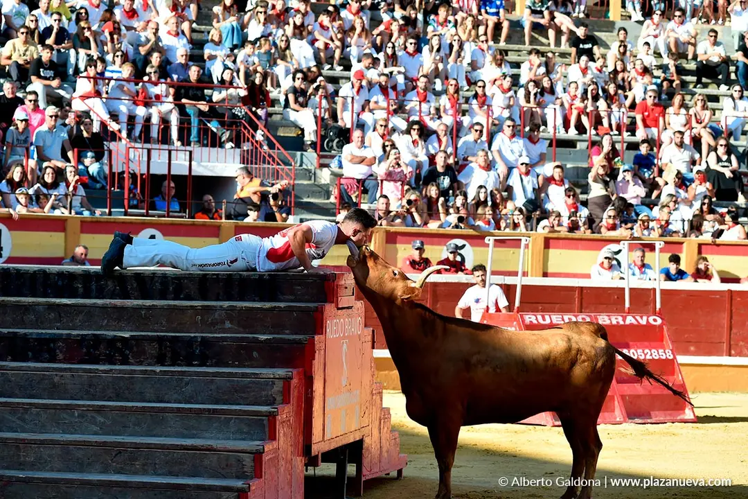 Exhibición de Bravura Arriazu en Tudela 2025 43