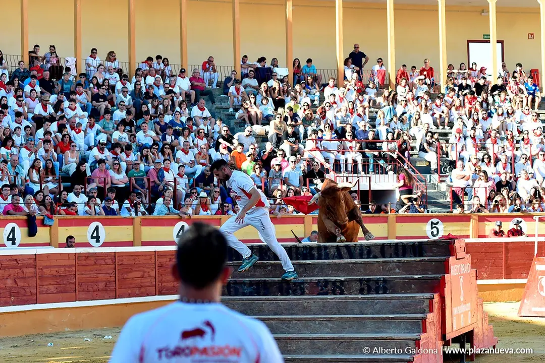 Exhibición de Bravura Arriazu en Tudela 2025 44