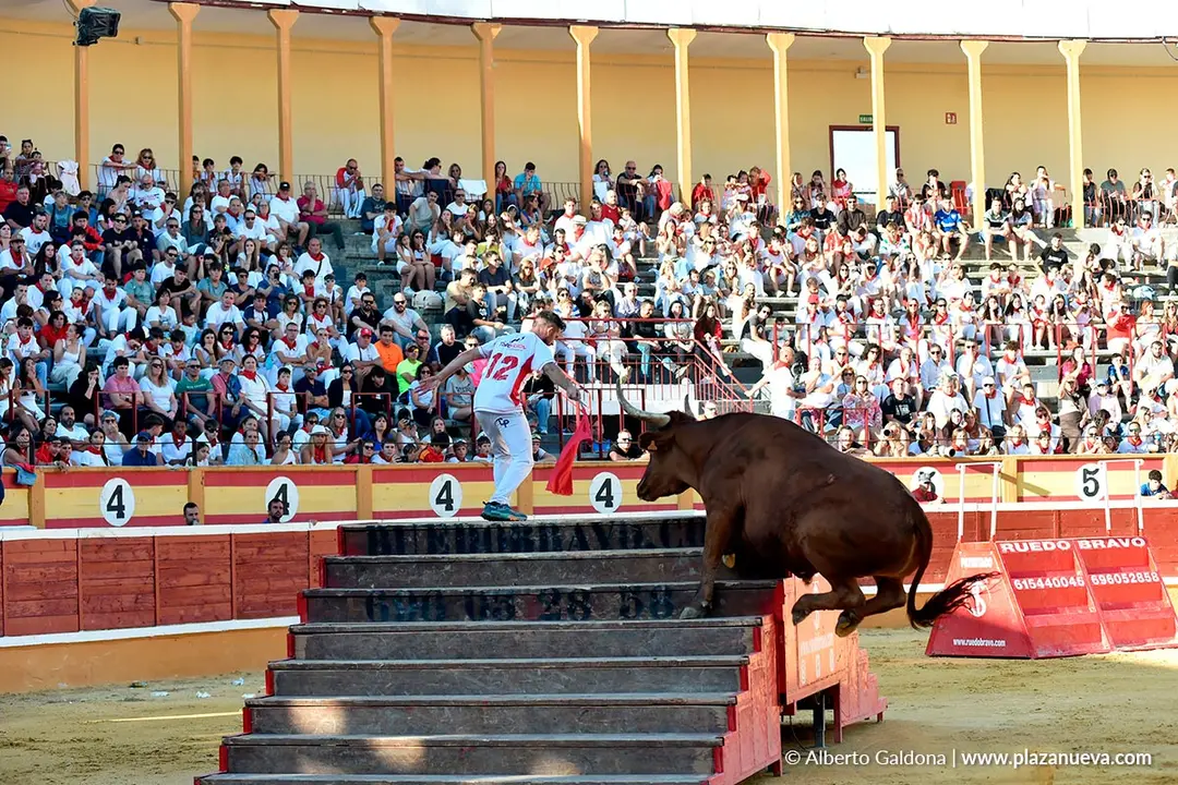 Exhibición de Bravura Arriazu en Tudela 2025 46