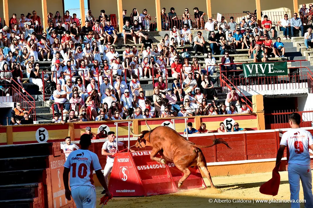 Exhibición de Bravura Arriazu en Tudela 2025 47