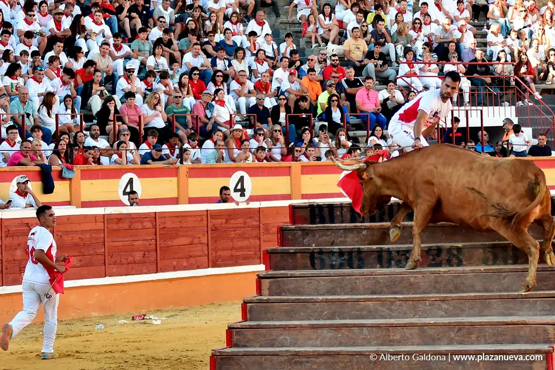 Exhibición de Bravura Arriazu en Tudela 2025 50