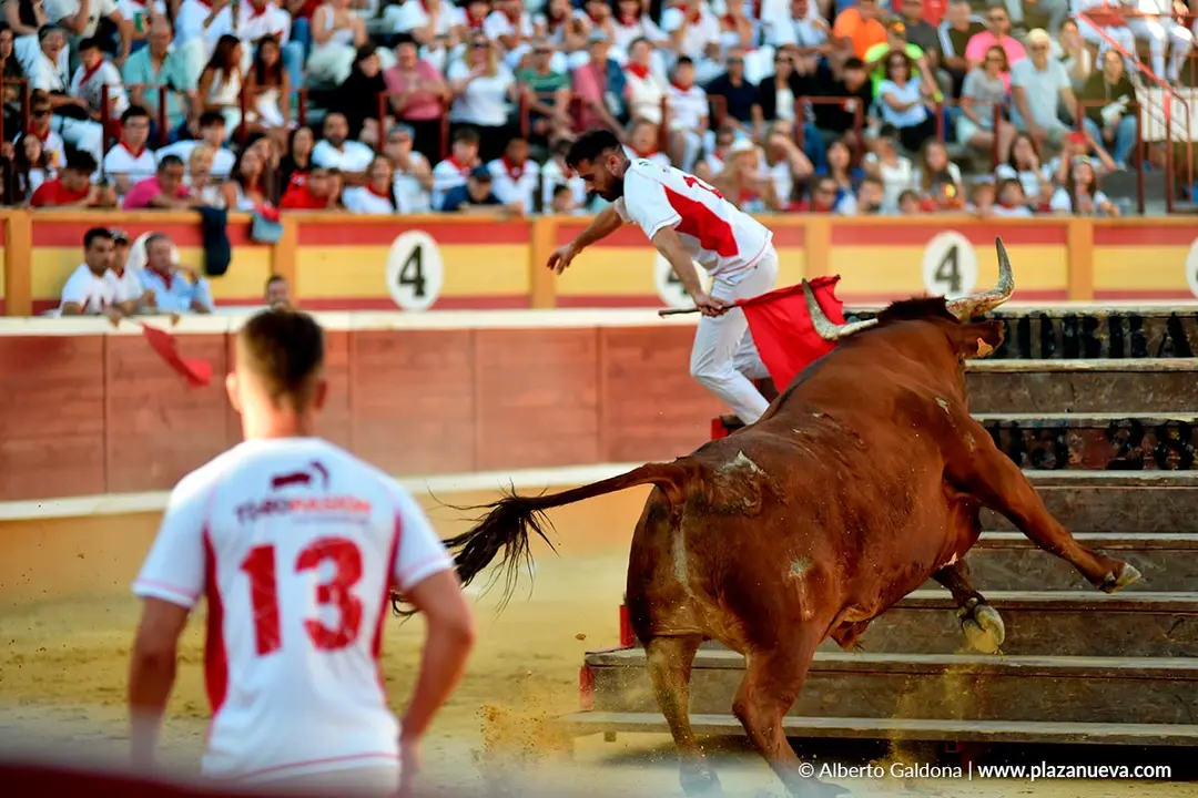 Exhibición de Bravura Arriazu en Tudela 2025 49