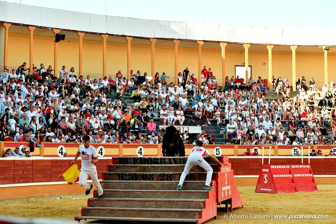 Exhibición de Bravura Arriazu en Tudela 2025 52