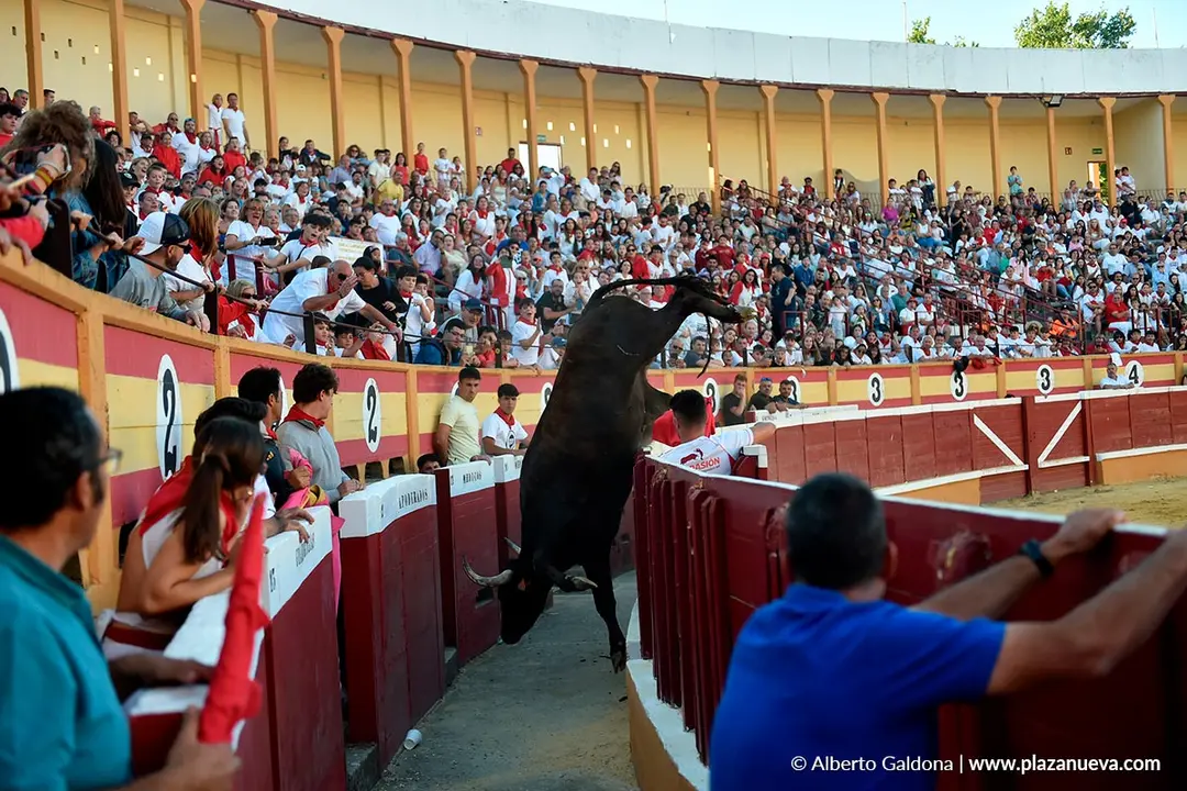 Exhibición de Bravura Arriazu en Tudela 2025 54