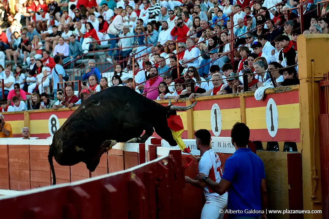 Exhibición de Bravura Arriazu en Tudela 2025 55