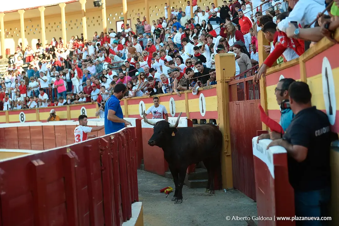 Exhibición de Bravura Arriazu en Tudela 2025 56