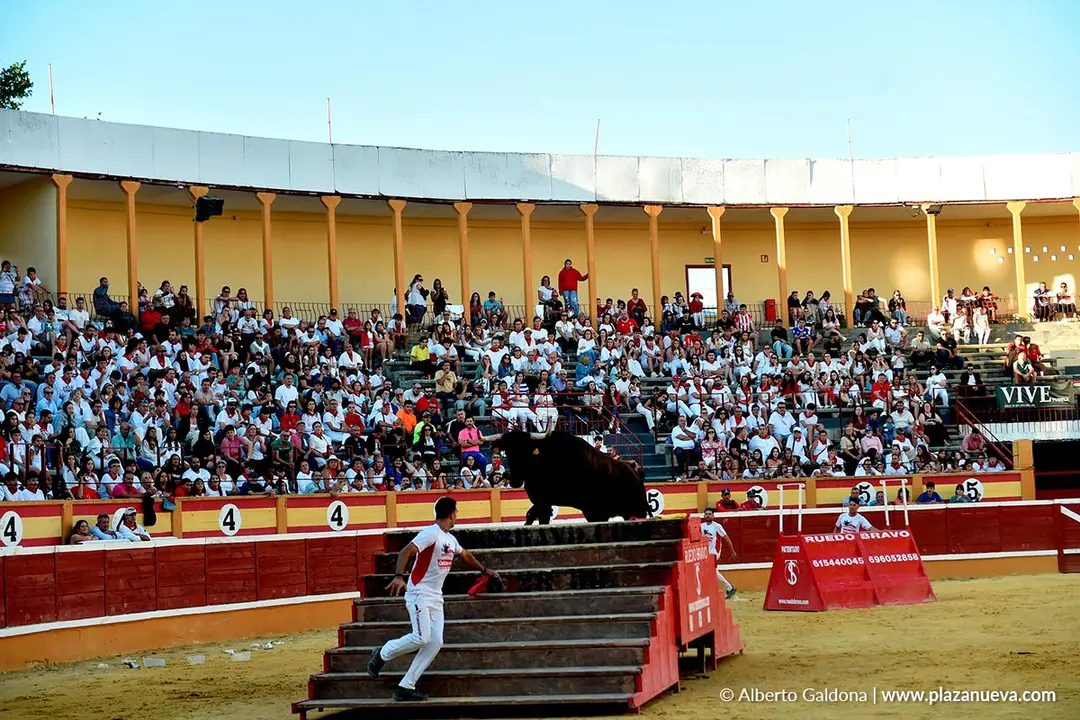 Exhibición de Bravura Arriazu en Tudela 2025 57