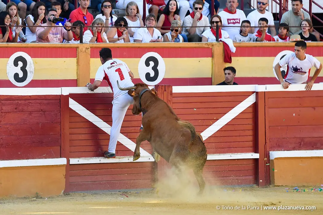 Recortes con anillas en Tudela 2025 1