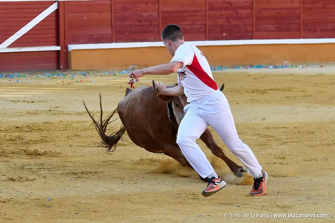 Recortes con anillas en Tudela 2025 3