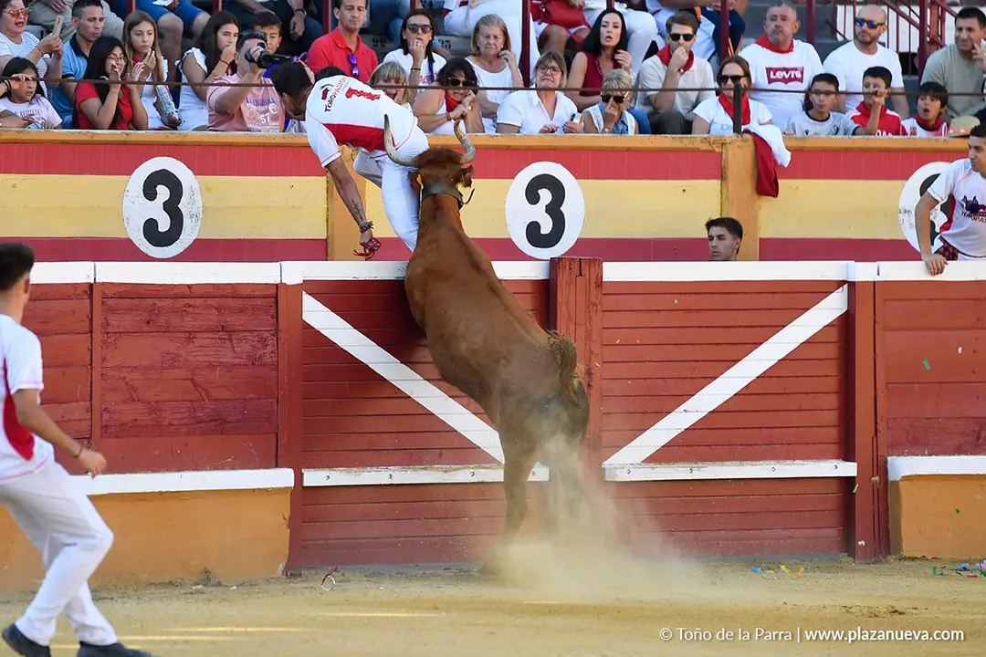Recortes con anillas en Tudela 2025 2
