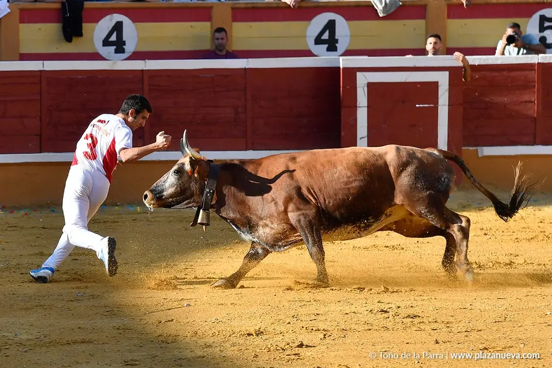 Recortes con anillas en Tudela 2025 5
