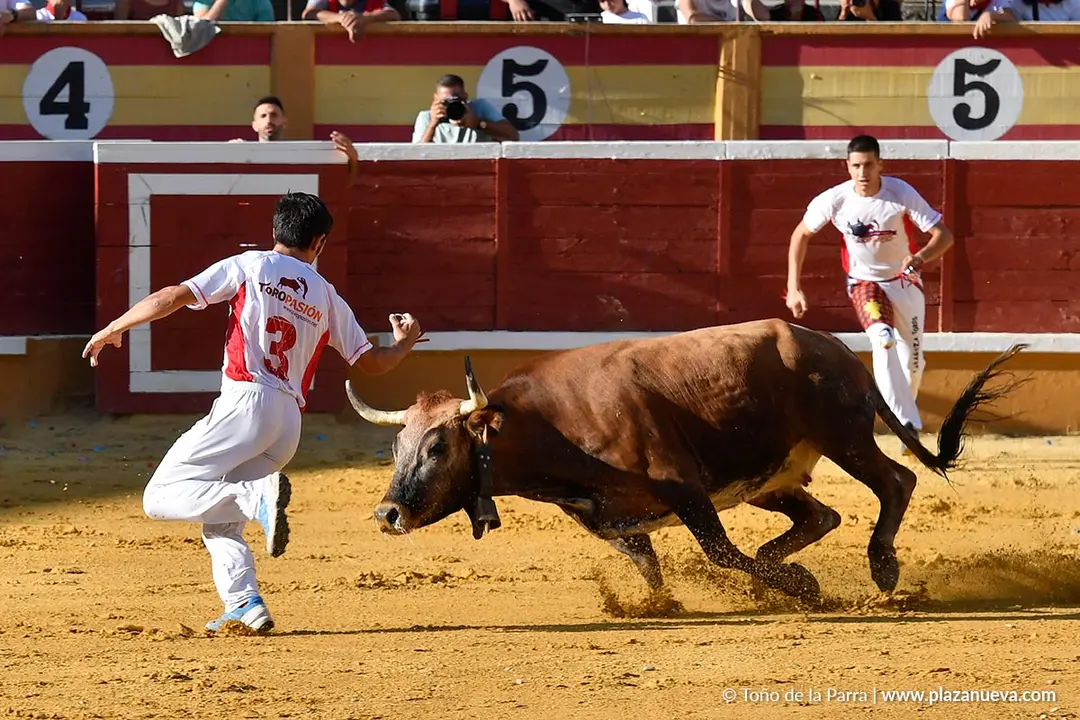 Recortes con anillas en Tudela 2025 4