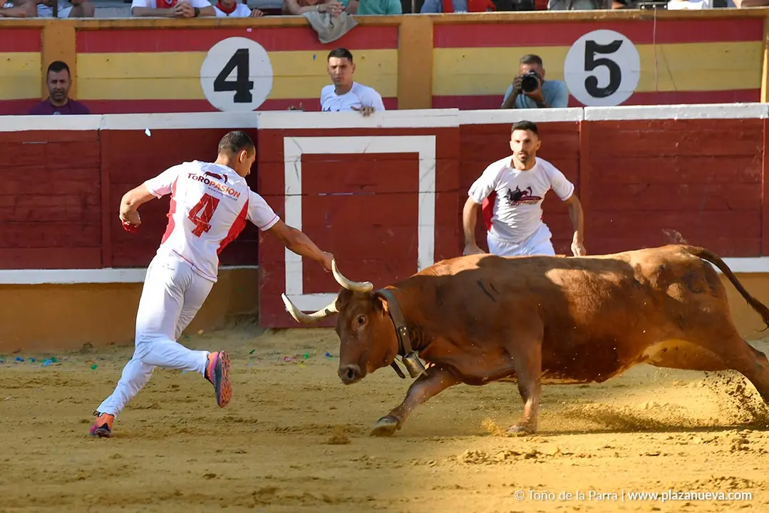 Recortes con anillas en Tudela 2025 6