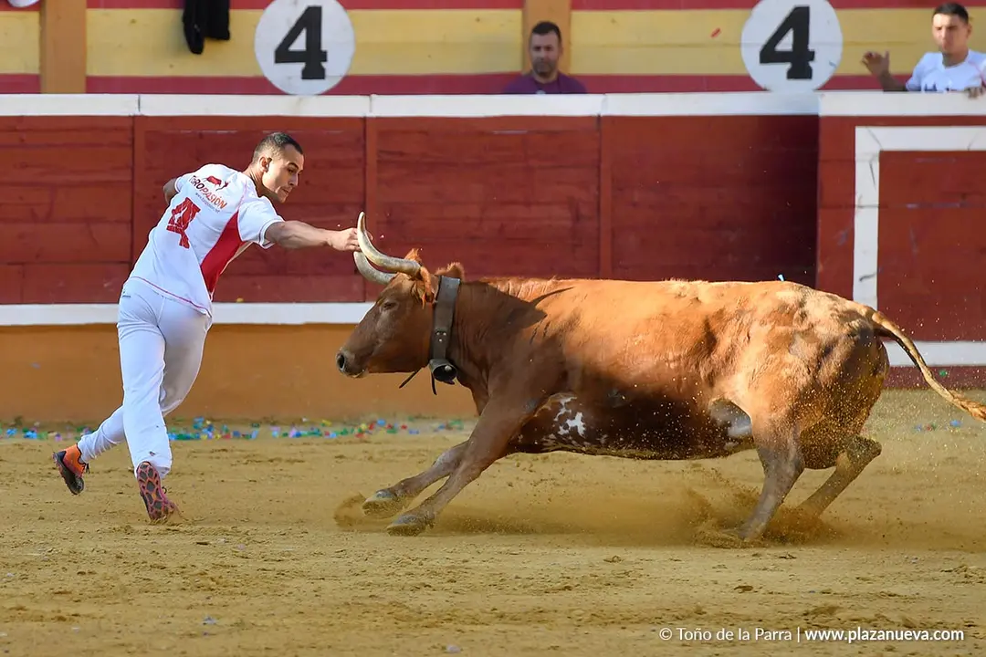 Recortes con anillas en Tudela 2025 7