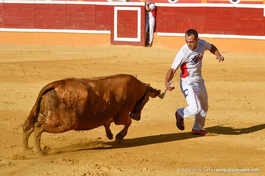Recortes con anillas en Tudela 2025 8