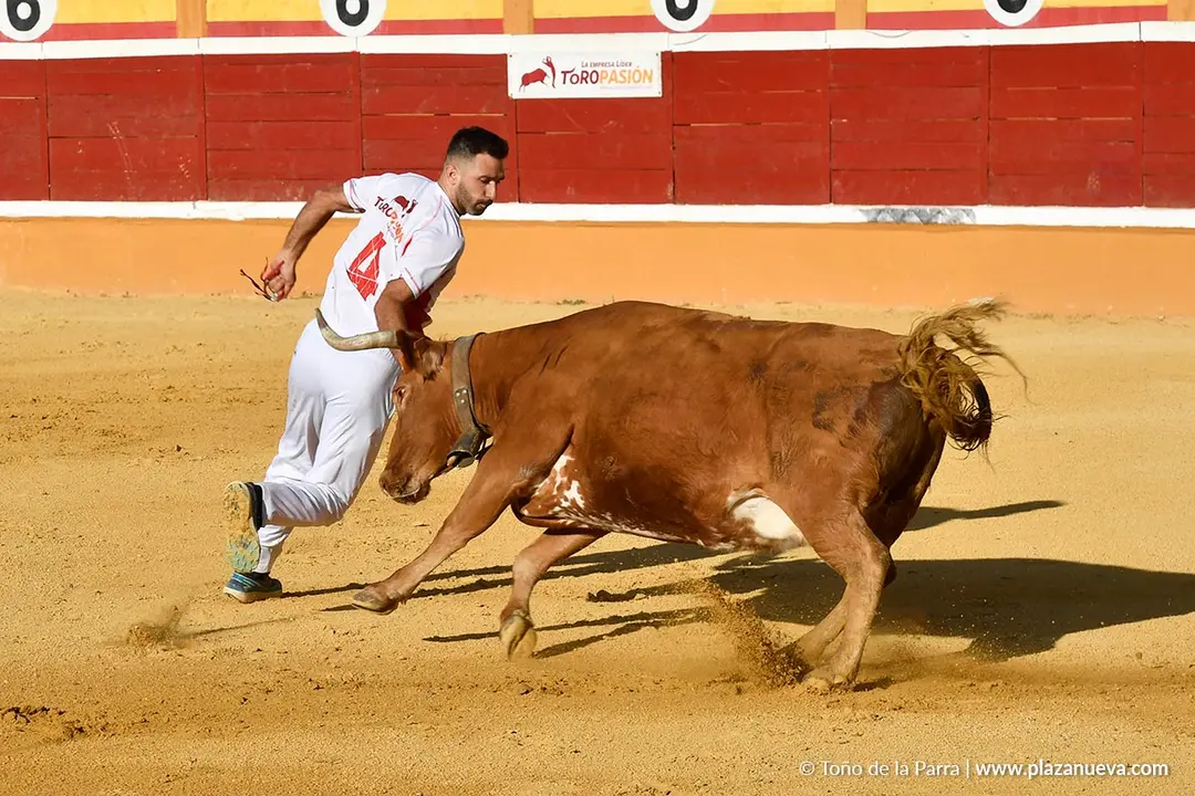 Recortes con anillas en Tudela 2025 9