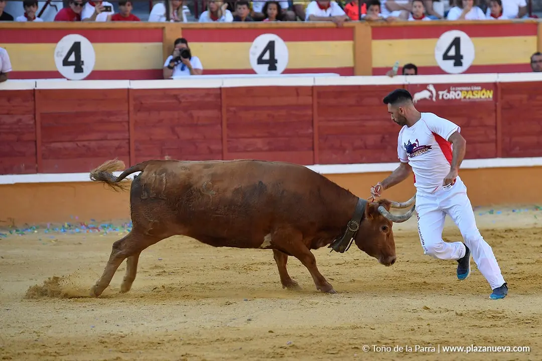 Recortes con anillas en Tudela 2025 11