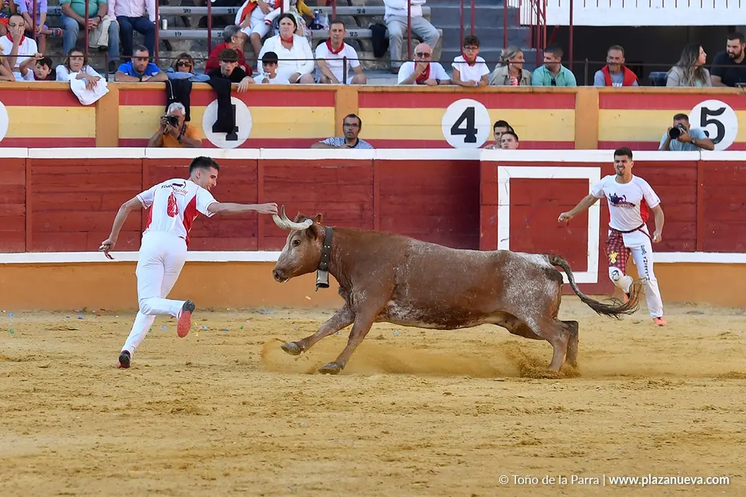 Recortes con anillas en Tudela 2025 14
