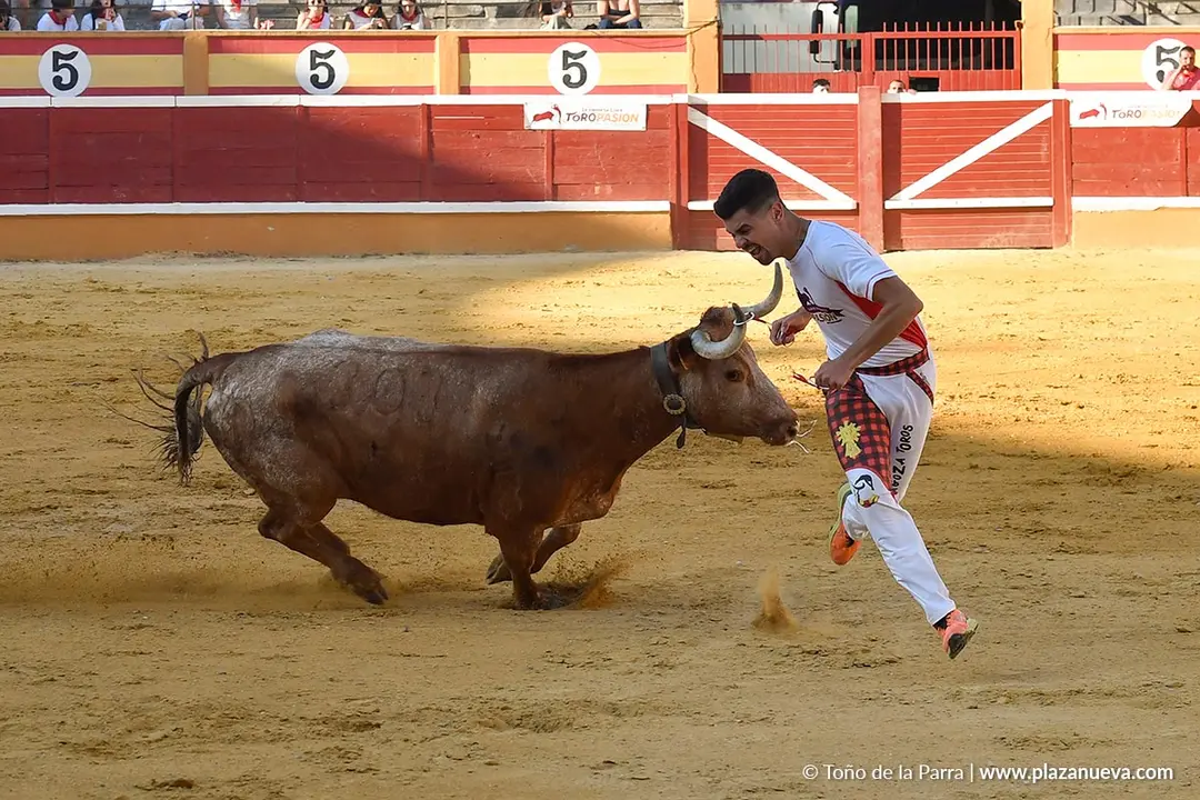 Recortes con anillas en Tudela 2025 15