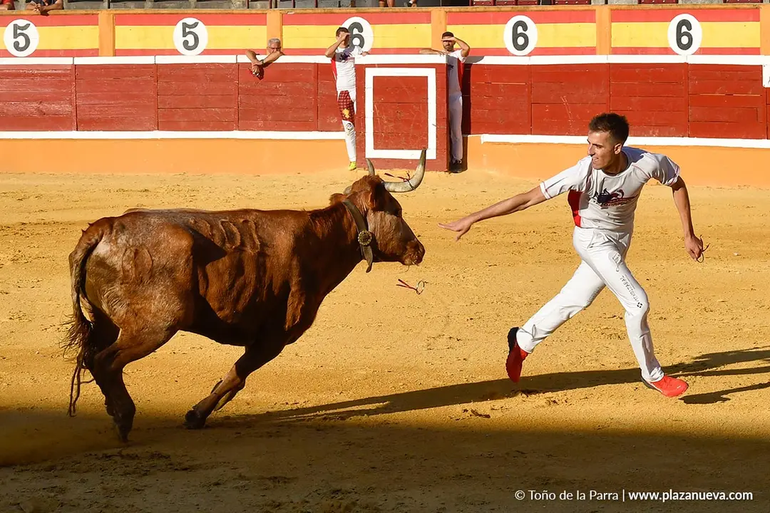 Recortes con anillas en Tudela 2025 16